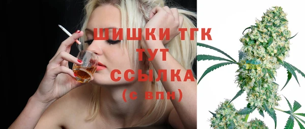 МДПВ Каменка