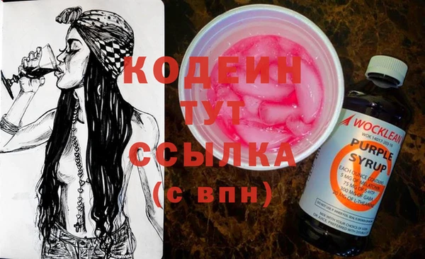 МДПВ Каменка
