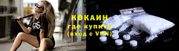 сатива Каменск-Шахтинский