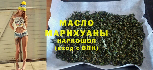 МДПВ Каменка