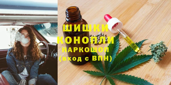 сатива Каменск-Шахтинский