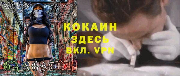 МДПВ Каменка