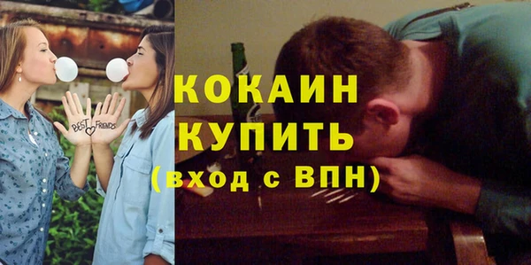 МДПВ Каменка