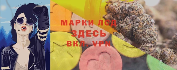 МДПВ Каменка