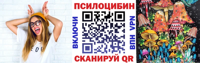 Купить  Дигора  Галлюциногенные грибы Psilocybe 