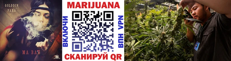 Купить закладки  Дигора  Каннабис сатива 